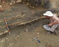 New findings rock long-held assumptions about ancient mass extinction