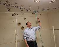 Reducing bird-related tragedy through understanding bird behavior