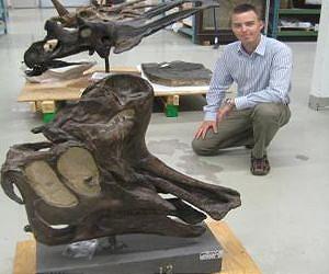 Dinosaurs, diets and ecological niches