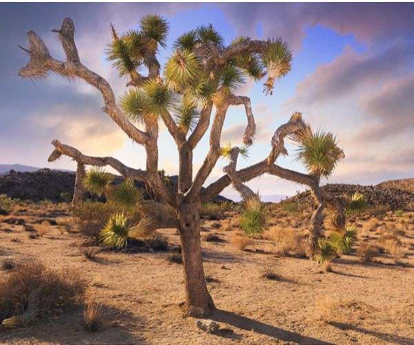 Climate change isn't producing expected increase in atmospheric moisture over dry regions