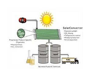 Joule Secures First of Multiple Sites to Host Solar Fuel Production