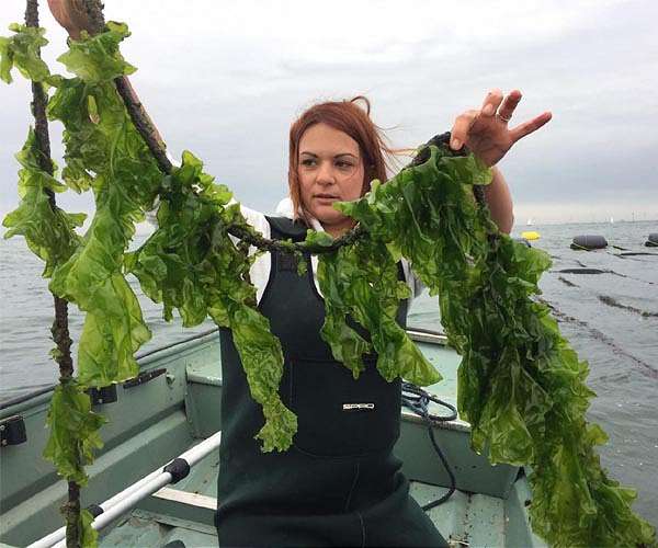 Fashion's green future of seaweed coats and mushroom shoes