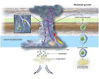 Shallow Lightning and Mushballs reveal ammonia to Juno scientists
