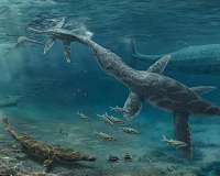 Fossil teeth show how Jurassic reptiles adapted to changing seas