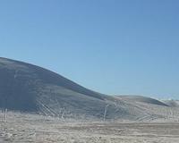 Dunes Reveal Biodiversity Secrets
