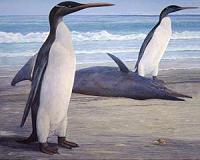 Chile penguins win battle in war against mine