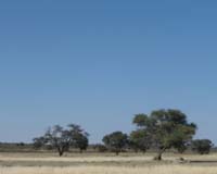 Kalahari Desert Soils And Climate Change