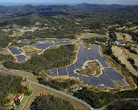 Pattern Development and Green Power complete 14 MW PV farm