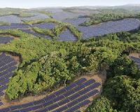 Local consortium to build 92MW solar power station in Kagoshima