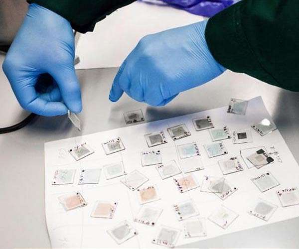Outstanding organic solar cells' performance achieved by using new technology