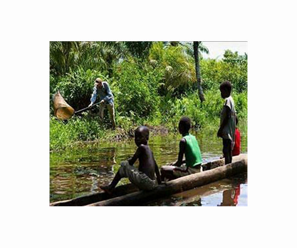 Searching for the lost children after DR Congo volcanic eruption