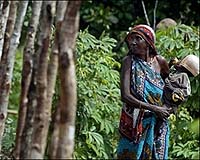 Kenyan Tribe Of Honey-Hunters Fights Extinction