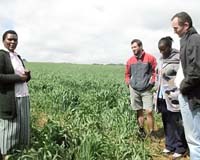G8 to urge guidelines on African farmland buy-ups: draft