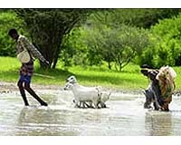 Kenya appeals for partnership to clean environment: official