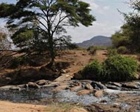 Kenya wildlife officials suspended over poaching crisis