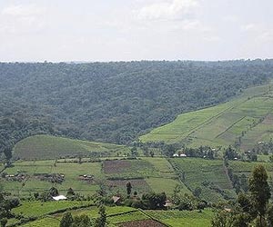 Farmland buy-up is a trigger for tensions, say experts