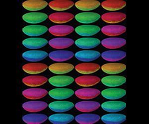 Study suggests that successful blueprints are recycled by evolution
