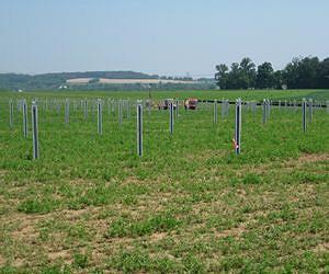 Community Energy Under Construction on Largest Solar Project in Pennsylvania