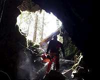 Ice Age survivors or stranded travellers? A new subterranean species discovered in Canada