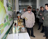 North Korea looks to spur free-trade zone