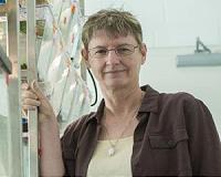 Change in environment can lead to rapid evolution