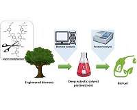 KIST develops biofuel production process in cooperation with North American researchers