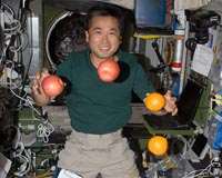 Payload Transfer To Kibo Complete