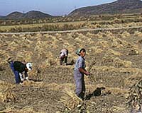 NKorea, land of hunger, made nukes priority