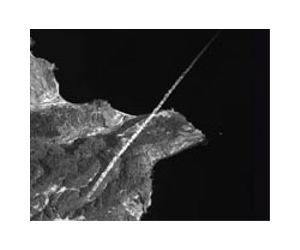 N.Korea's rocket exploded mid-air
