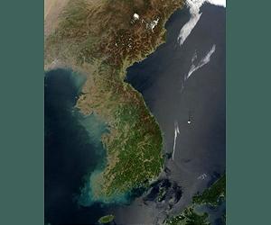 N.Korea proposes military talks with S.Korea: report