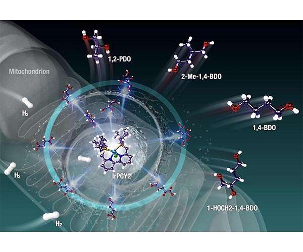 Catalyzing a zero-carbon world by harvesting energy from living cells