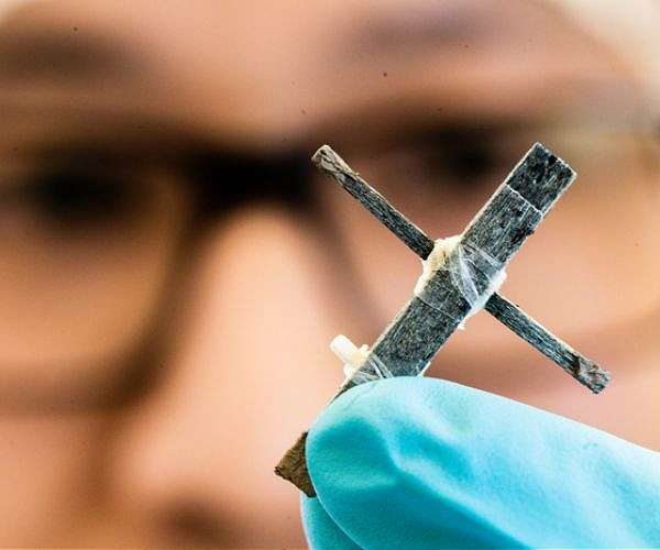 The world's first wood transistor