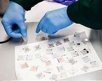 Lithuanian scientists' approach to perovskite solar cells - cheaper production and high efficiency