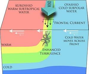 Ocean Front Is Energetic Contributor To Mixing