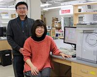 New approach combines biomass conversion, solar energy conversion