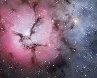 Trifid Triple Threat