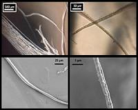 Army to test body armor made from spider silk