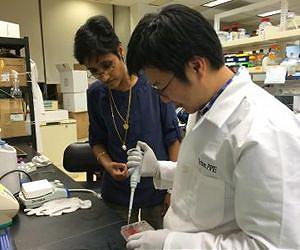 Biomaterials get stem cells to commit to a bony future