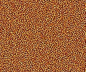 Origin of ultra-fast manipulation of domain walls discovered