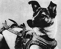 Canine pioneer: Soviet mutt was first earthling in space