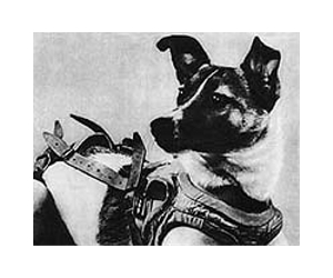 Soviet space dogs blast-off to animated immortality