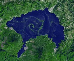 Human Activities Overload Ecosystems With Nitrogen