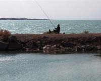 Analysis: Growing Kazakh maritime trade
