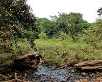 Springs were critical water sources for early humans in East Africa, Rutgers study finds