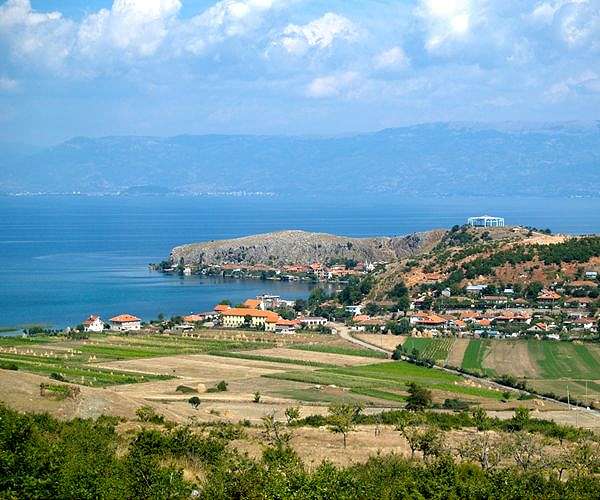 'King of Lake Ohrid': the fight to save a Balkan trout