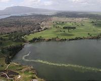 New Zealand's 'green' image under threat: OECD