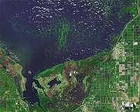 Study quantifies socioeconomic benefits of satellites for harmful algal bloom detection