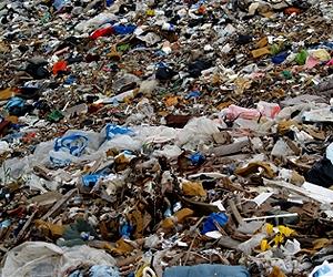 Reaping Profits from Landfill Biogas