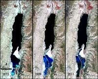 Salt needed: Tolerance lessons from a dead sea fungus