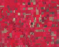 Study reports breakthrough to measure plant improvements to help farmers boost production